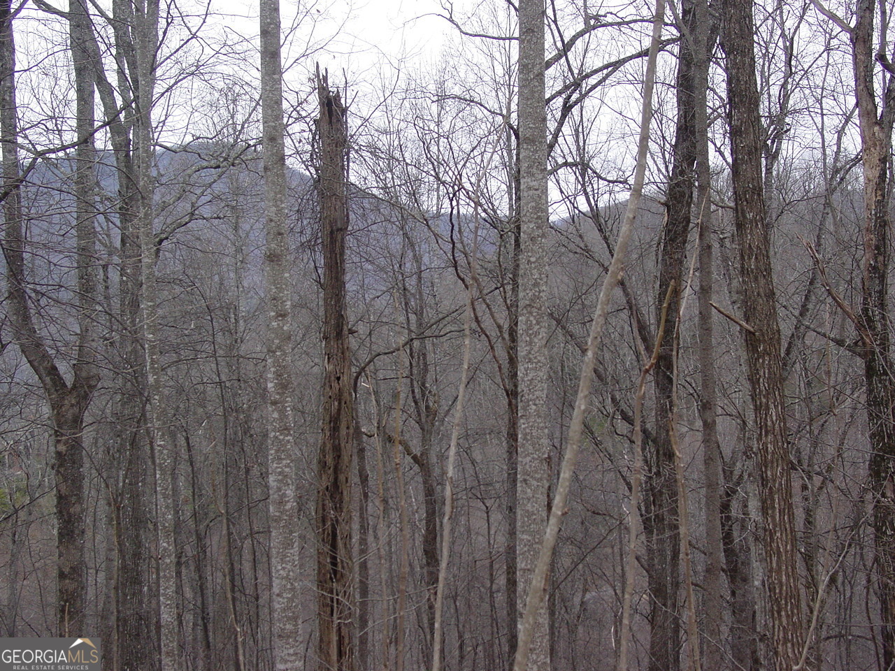#16 Roaring Ridge Hiawassee GA 30546