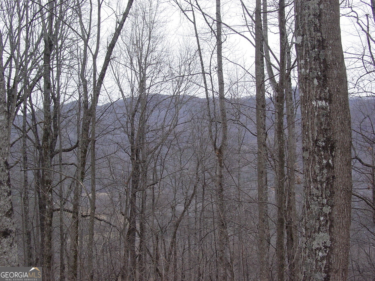 #16 Roaring Ridge Hiawassee GA 30546