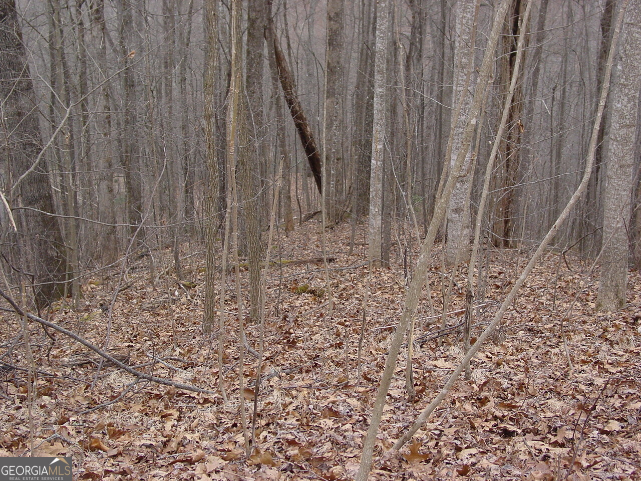 #16 Roaring Ridge Hiawassee GA 30546