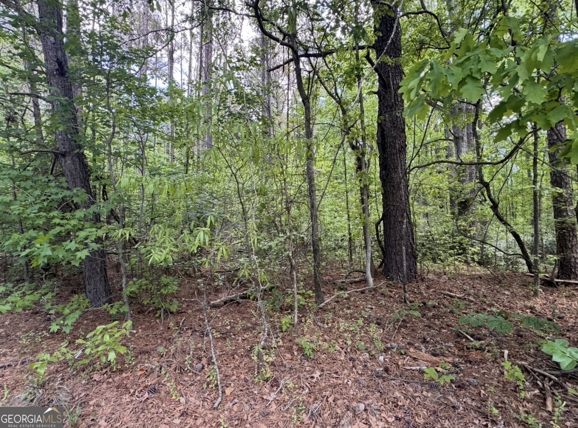 N Of 482 Antioch Road - 25.596 Acres Fayetteville GA 30215
