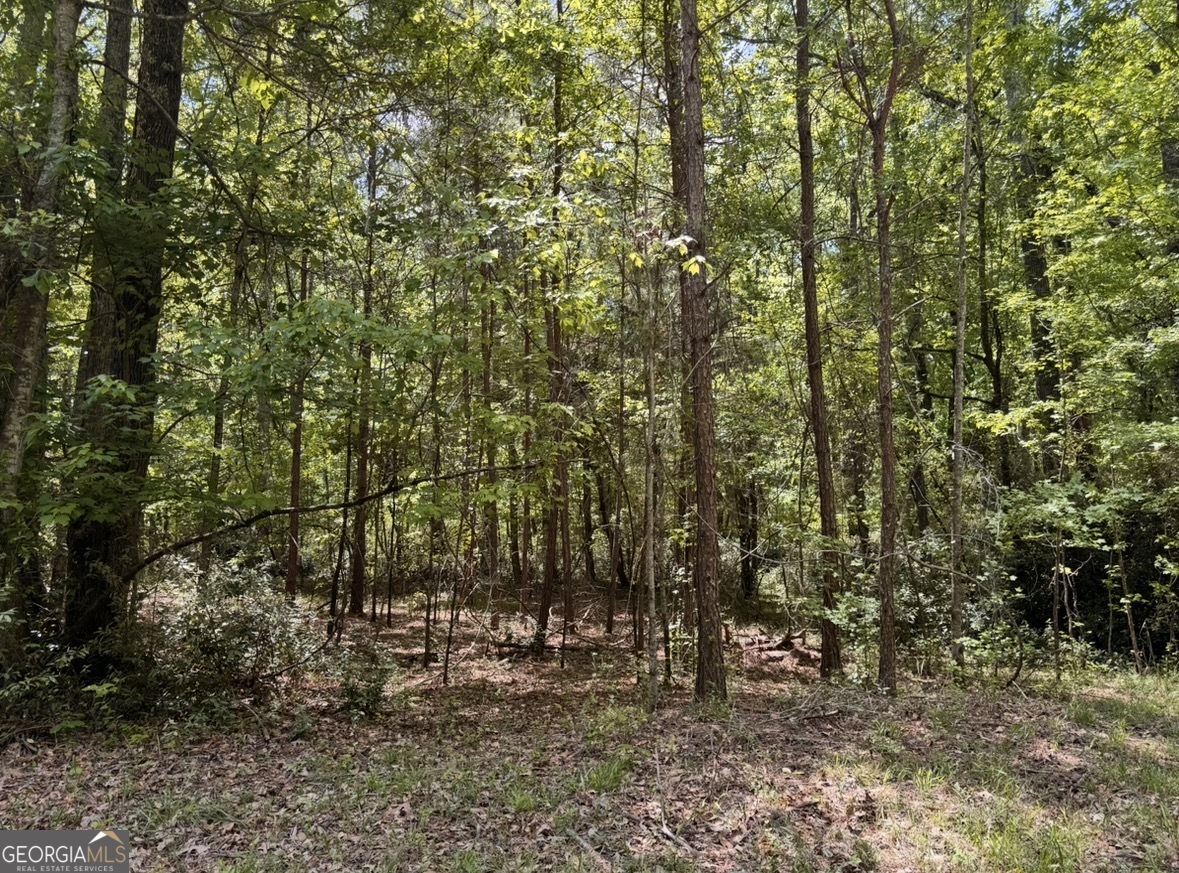 N Of 482 Antioch Road - 25.596 Acres Fayetteville GA 30215