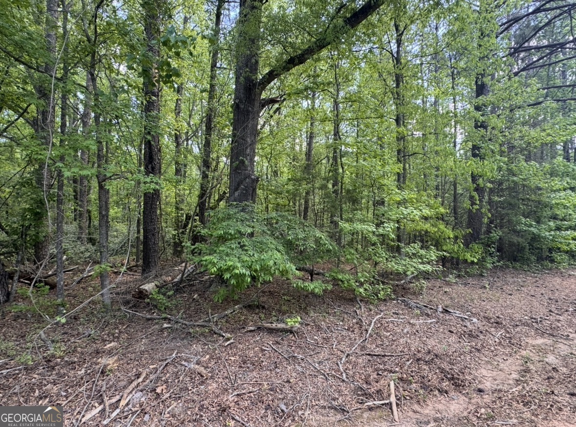 N Of 482 Antioch Road - 25.596 Acres Fayetteville GA 30215