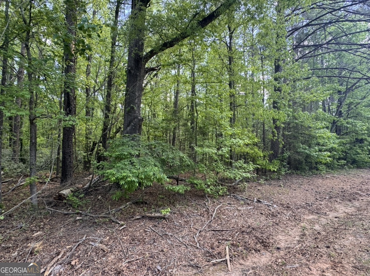 N Of 482 Antioch Road - 25.596 Acres Fayetteville GA 30215
