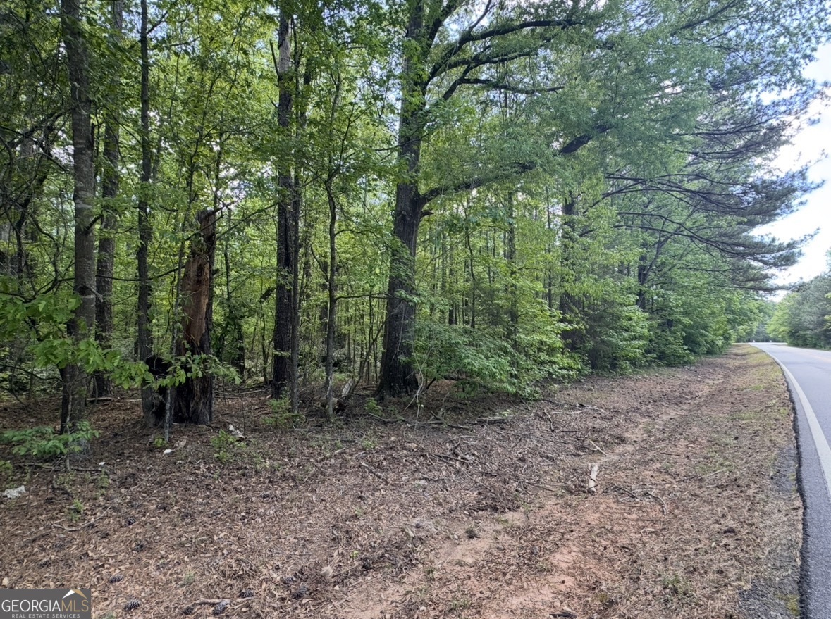 N Of 482 Antioch Road - 25.596 Acres Fayetteville GA 30215