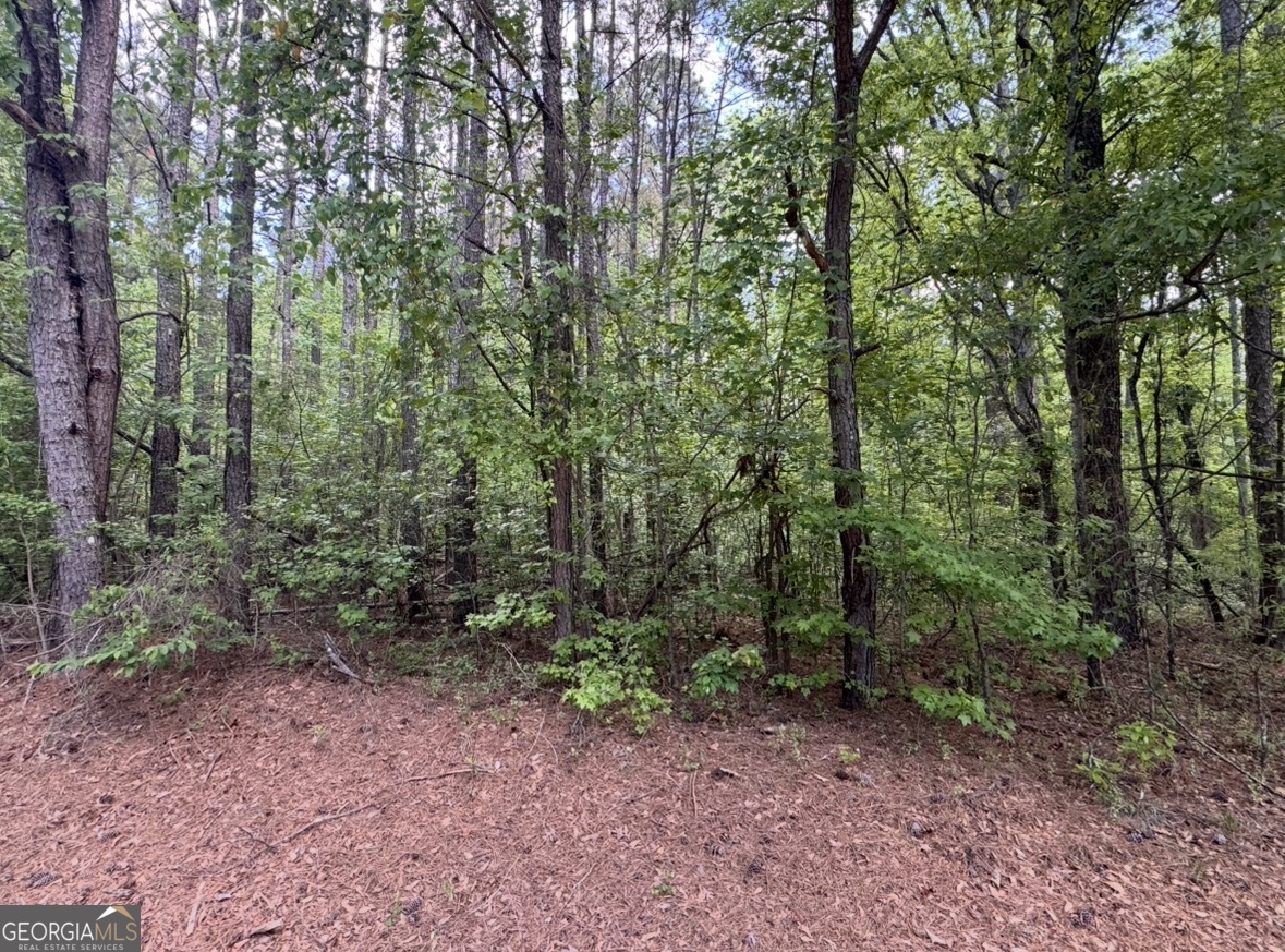 N Of 482 Antioch Road - 25.596 Acres Fayetteville GA 30215