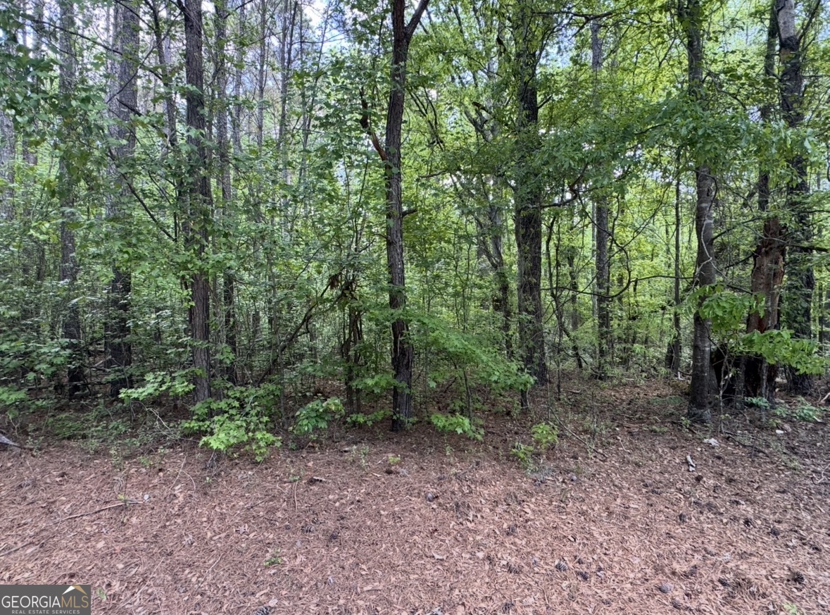 N Of 482 Antioch Road - 25.596 Acres Fayetteville GA 30215