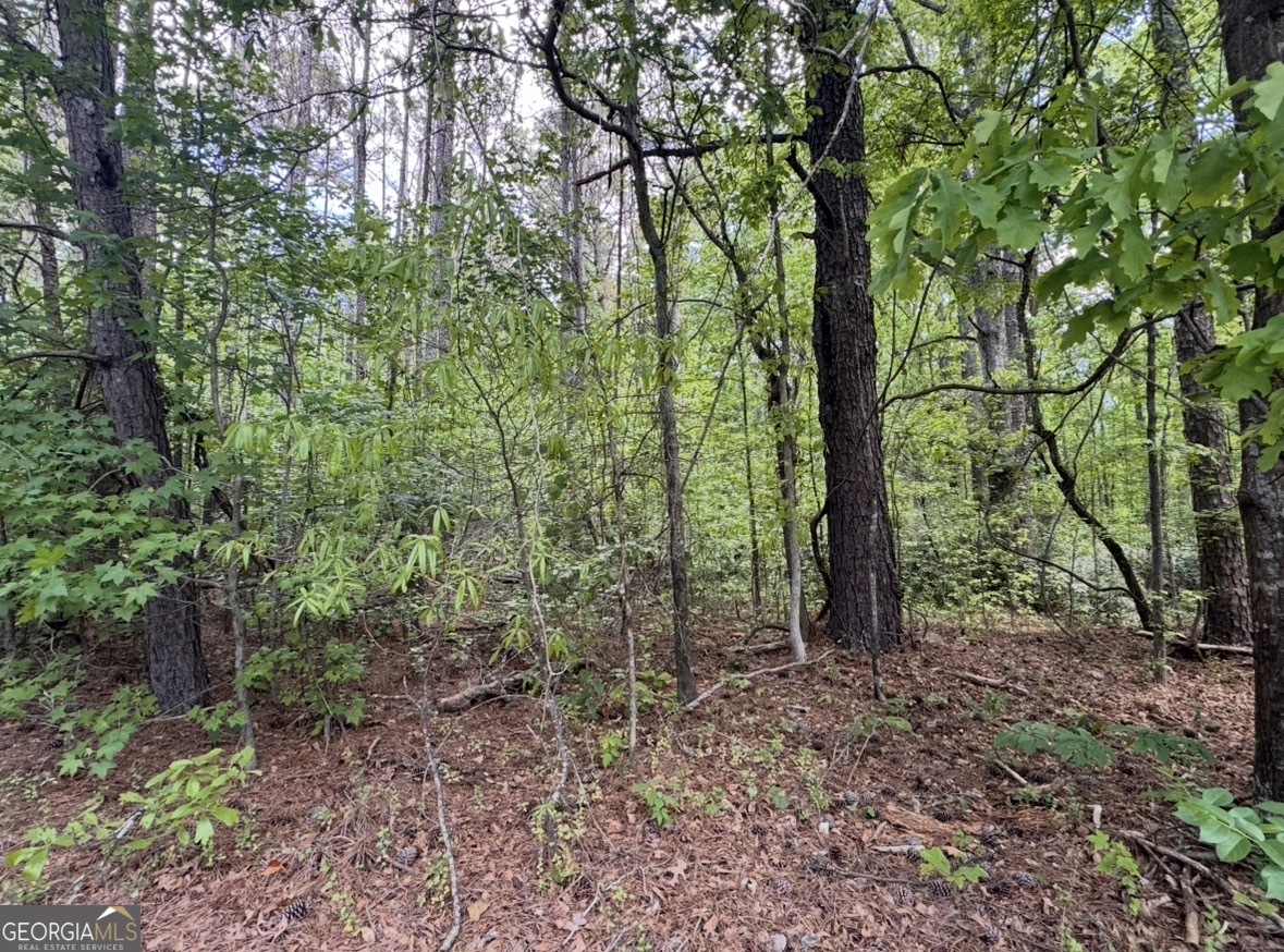 N Of 482 Antioch Road - 25.596 Acres Fayetteville GA 30215