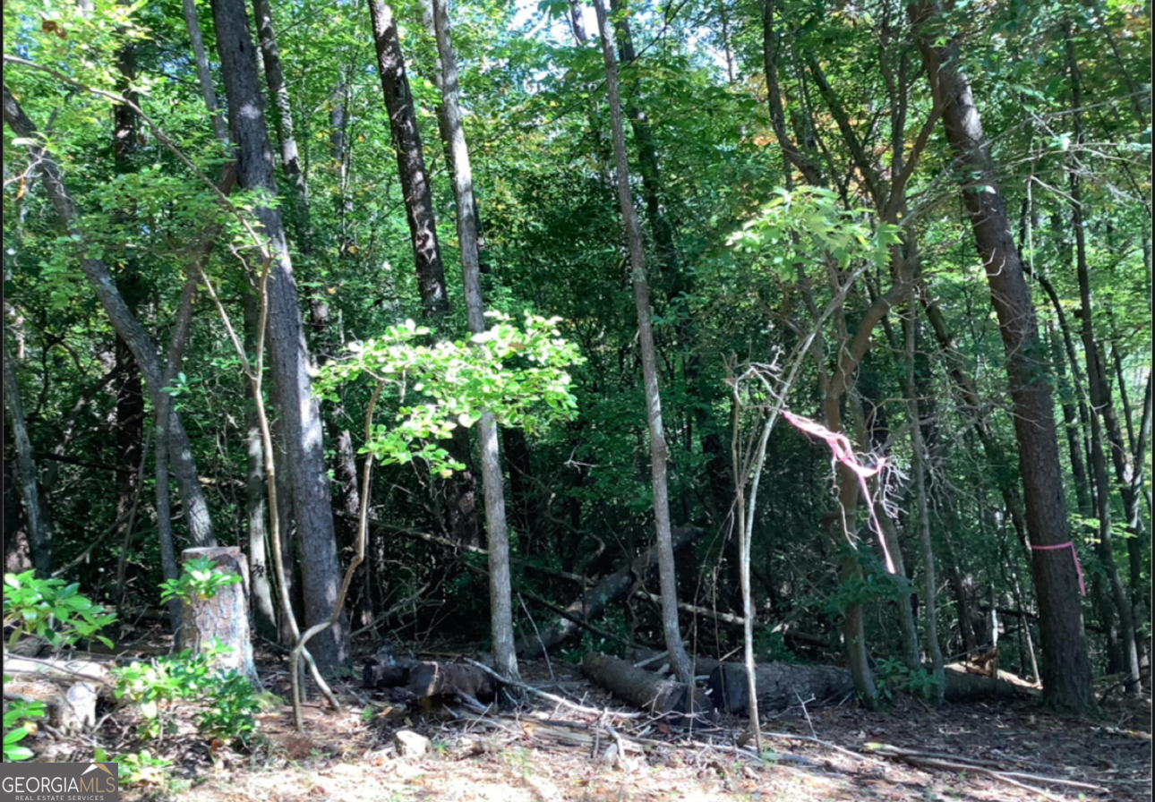 0.68 Valley View Road Ellijay GA 30536