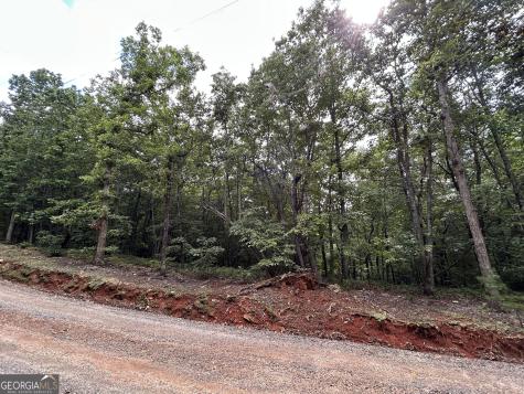 0 Mountain Crest Drive Clarkesville GA 30523