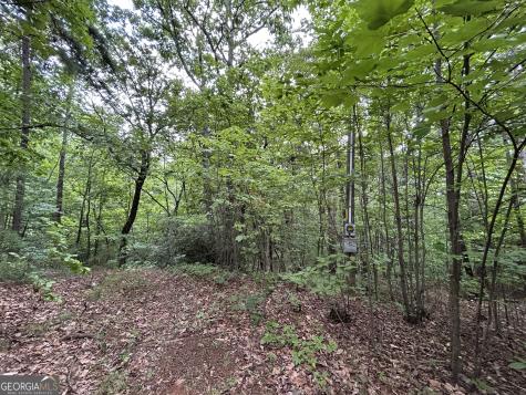 0 Mountain Crest Drive Clarkesville GA 30523