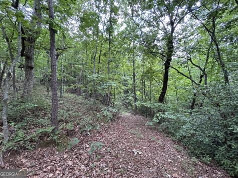 0 Mountain Crest Drive Clarkesville GA 30523