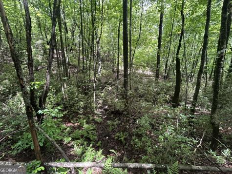 0 Mountain Crest Drive Clarkesville GA 30523