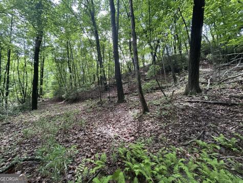 0 Mountain Crest Drive Clarkesville GA 30523