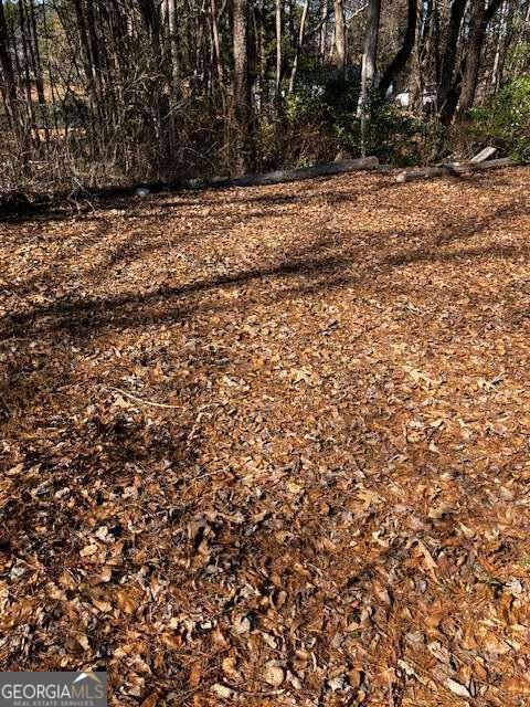 339 N Century Drive Martin GA 30557
