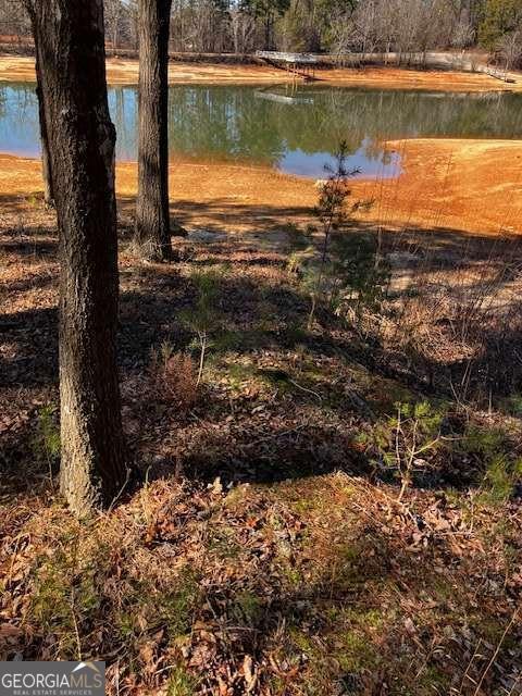 339 N Century Drive Martin GA 30557