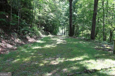 29 Cool Spring Lane Clayton GA 30525