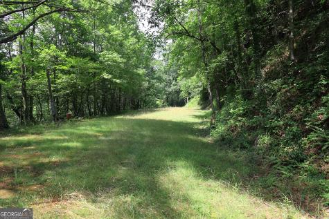 29 Cool Spring Lane Clayton GA 30525