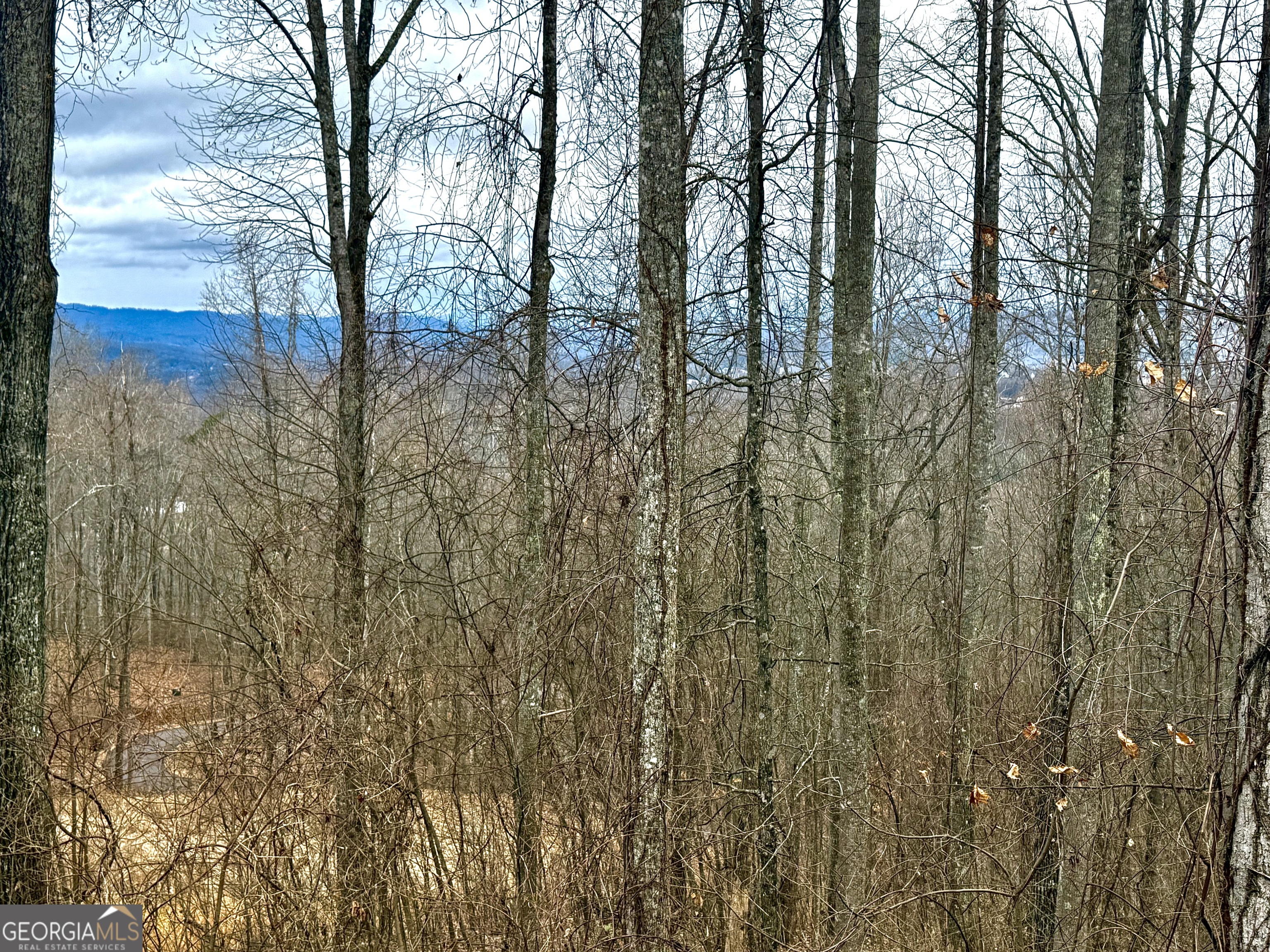 Lot 7 Rocky Knob Drive Young Harris GA 30582