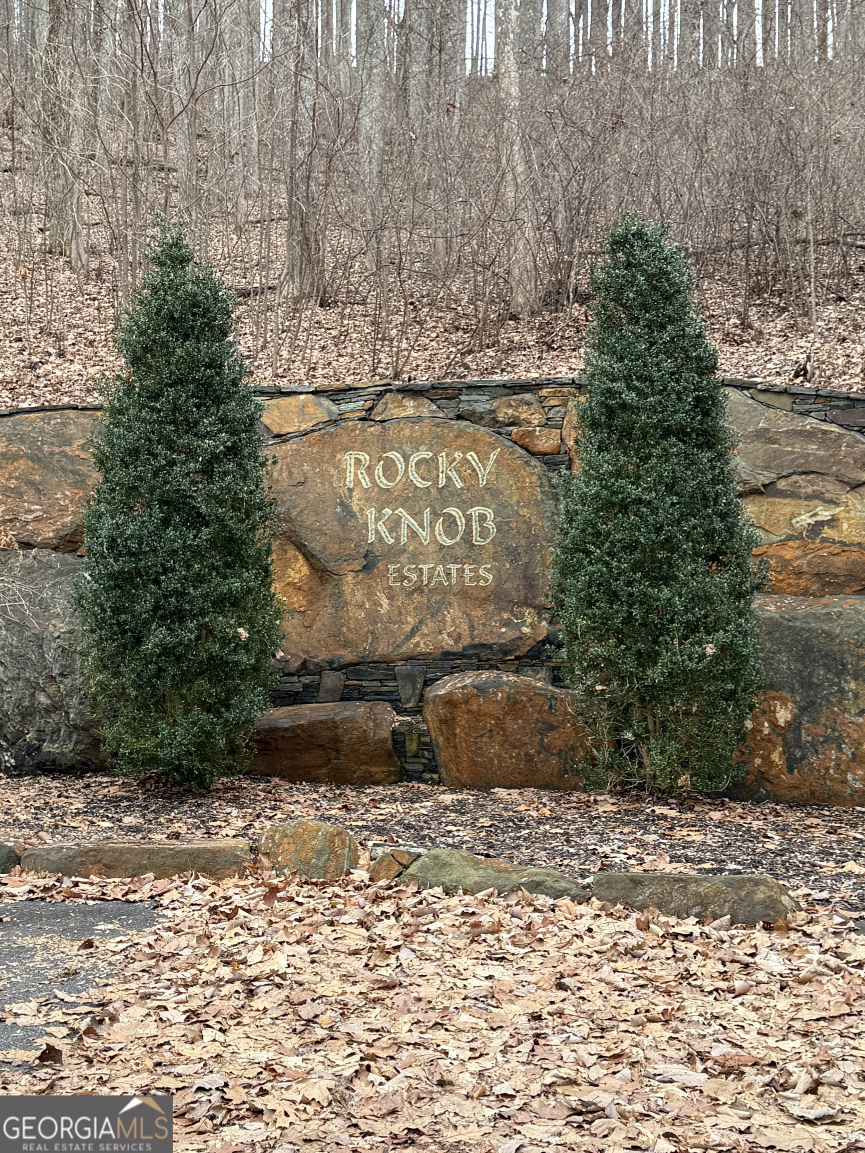 Lot 7 Rocky Knob Drive Young Harris GA 30582