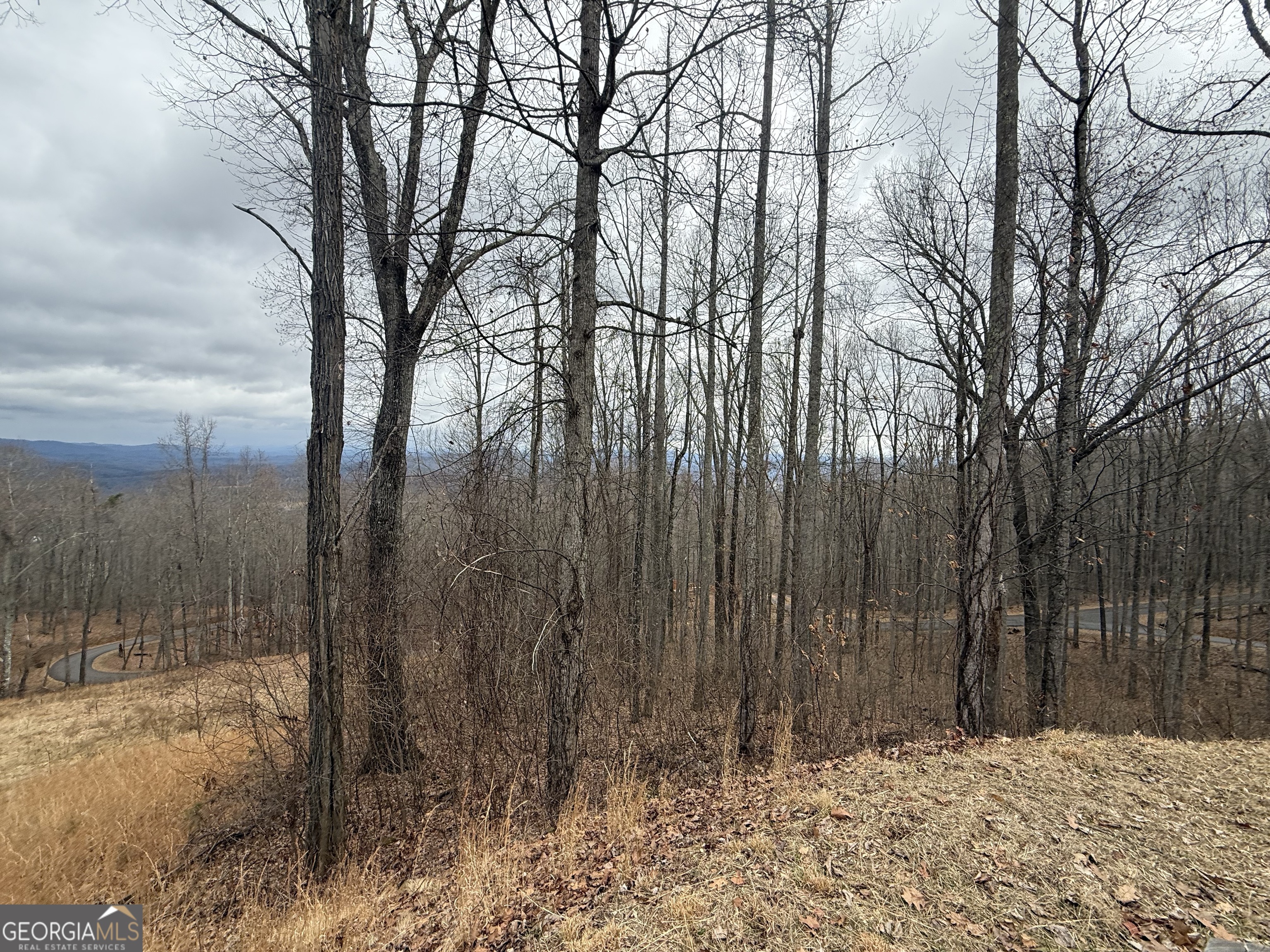 Lot 7 Rocky Knob Drive Young Harris GA 30582