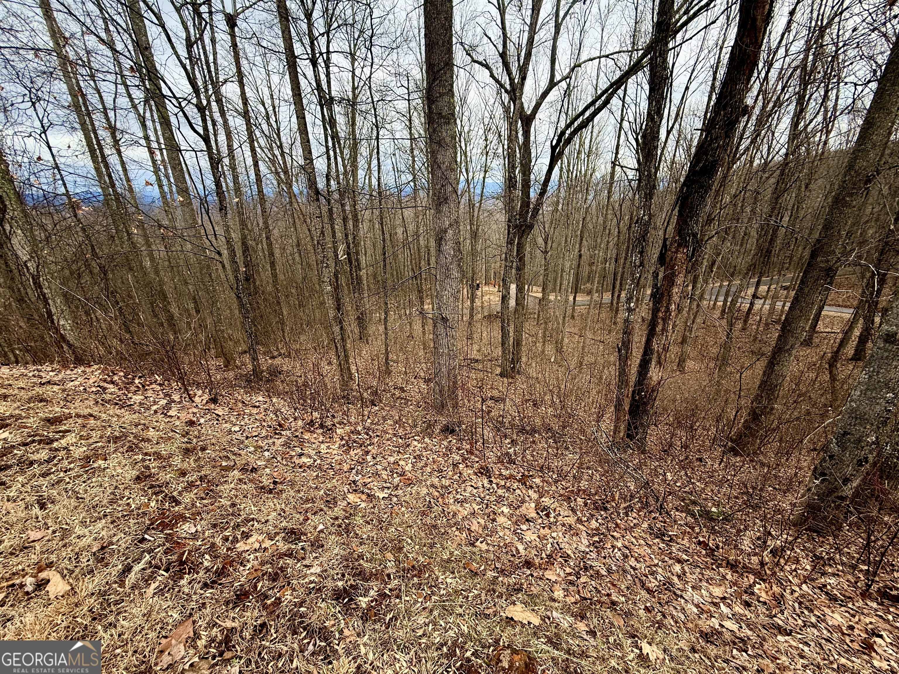 Lot 7 Rocky Knob Drive Young Harris GA 30582