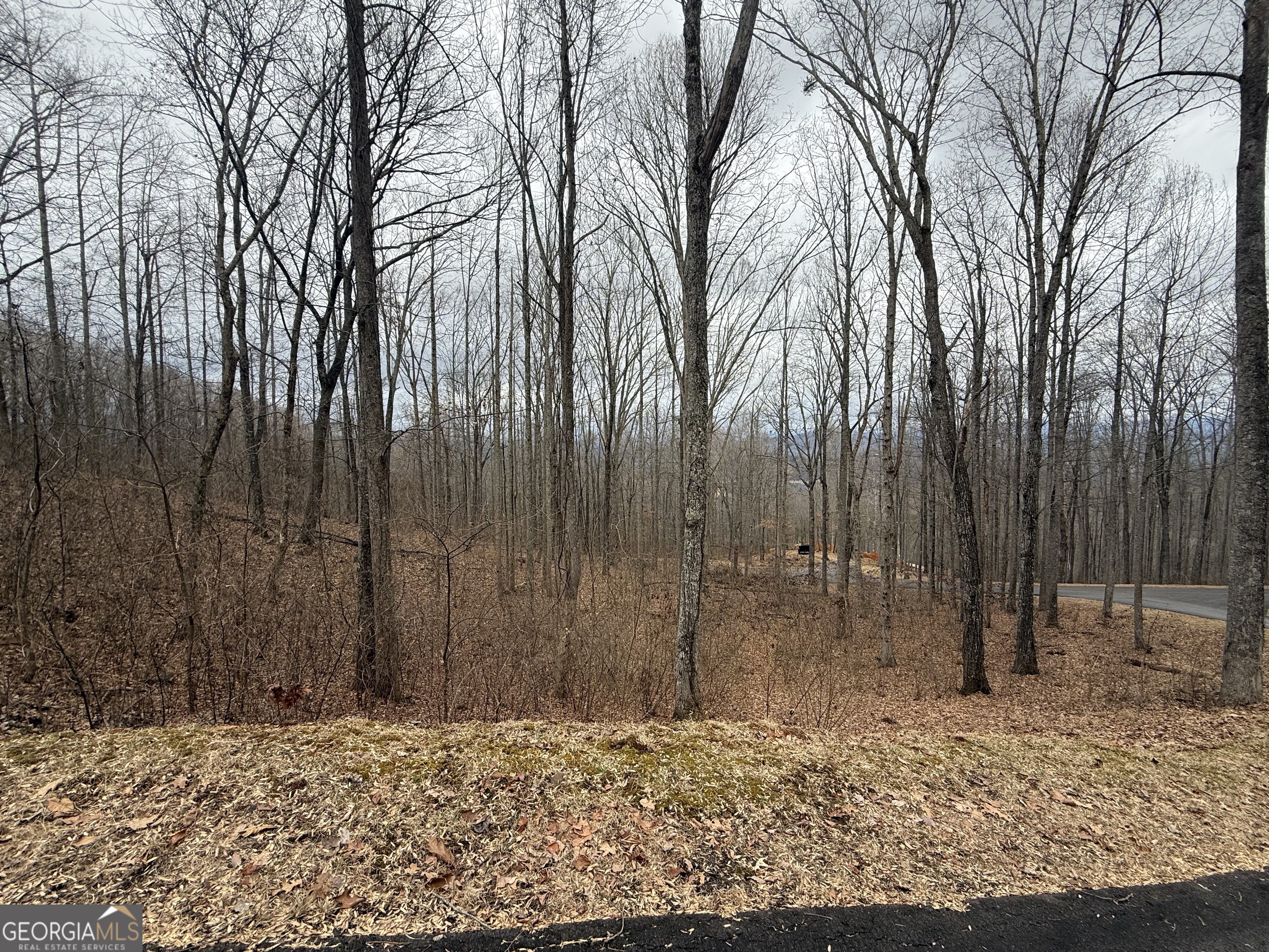 Lot 7 Rocky Knob Drive Young Harris GA 30582
