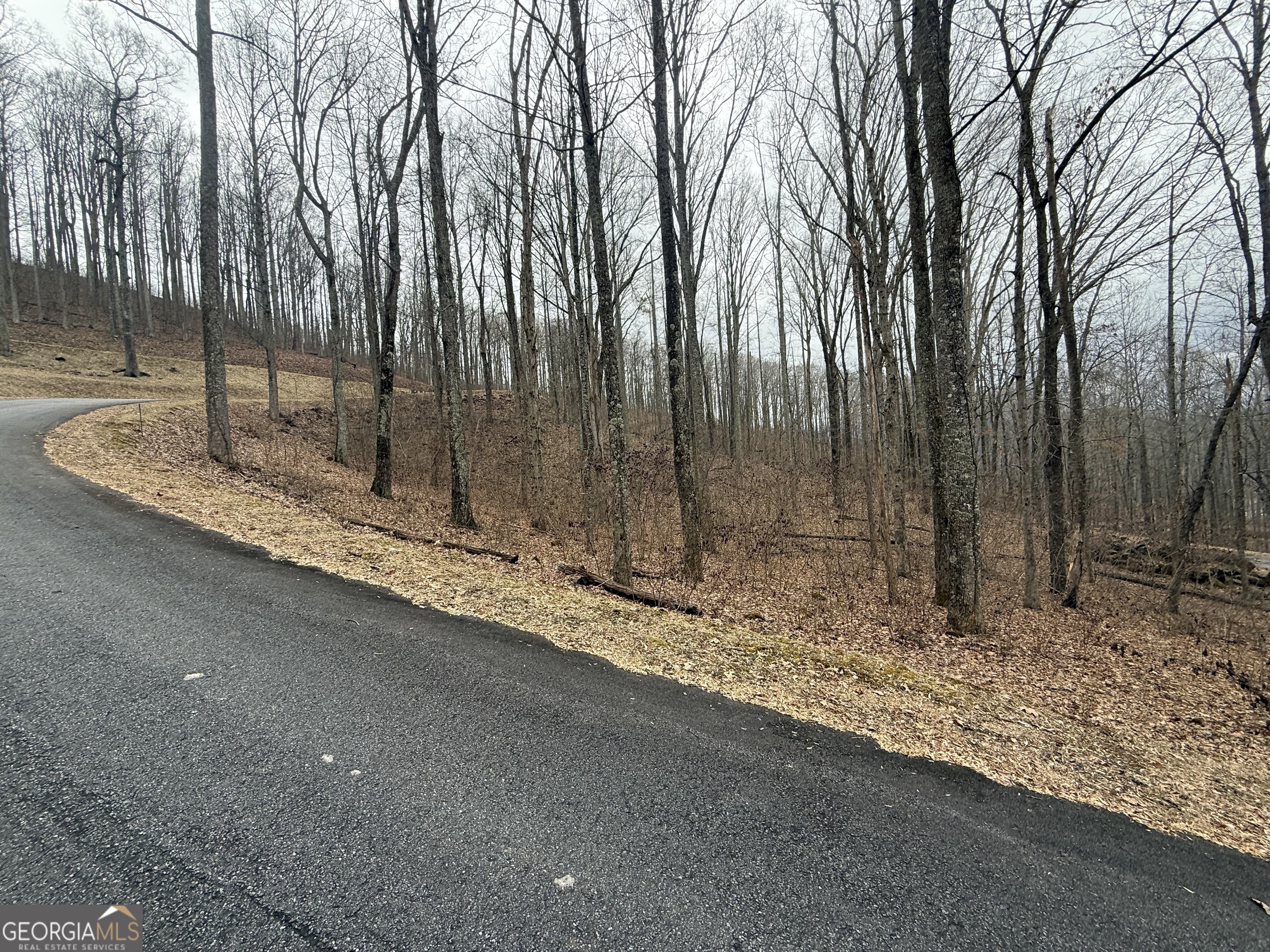 Lot 7 Rocky Knob Drive Young Harris GA 30582