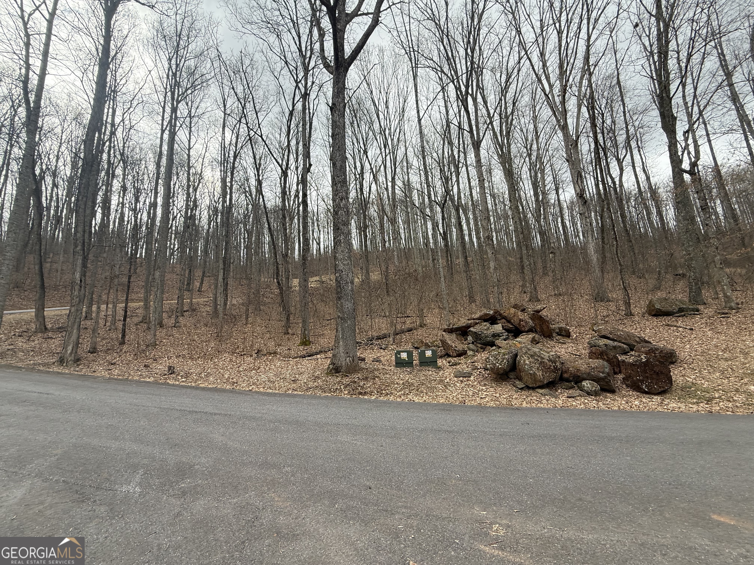 Lot 7 Rocky Knob Drive Young Harris GA 30582