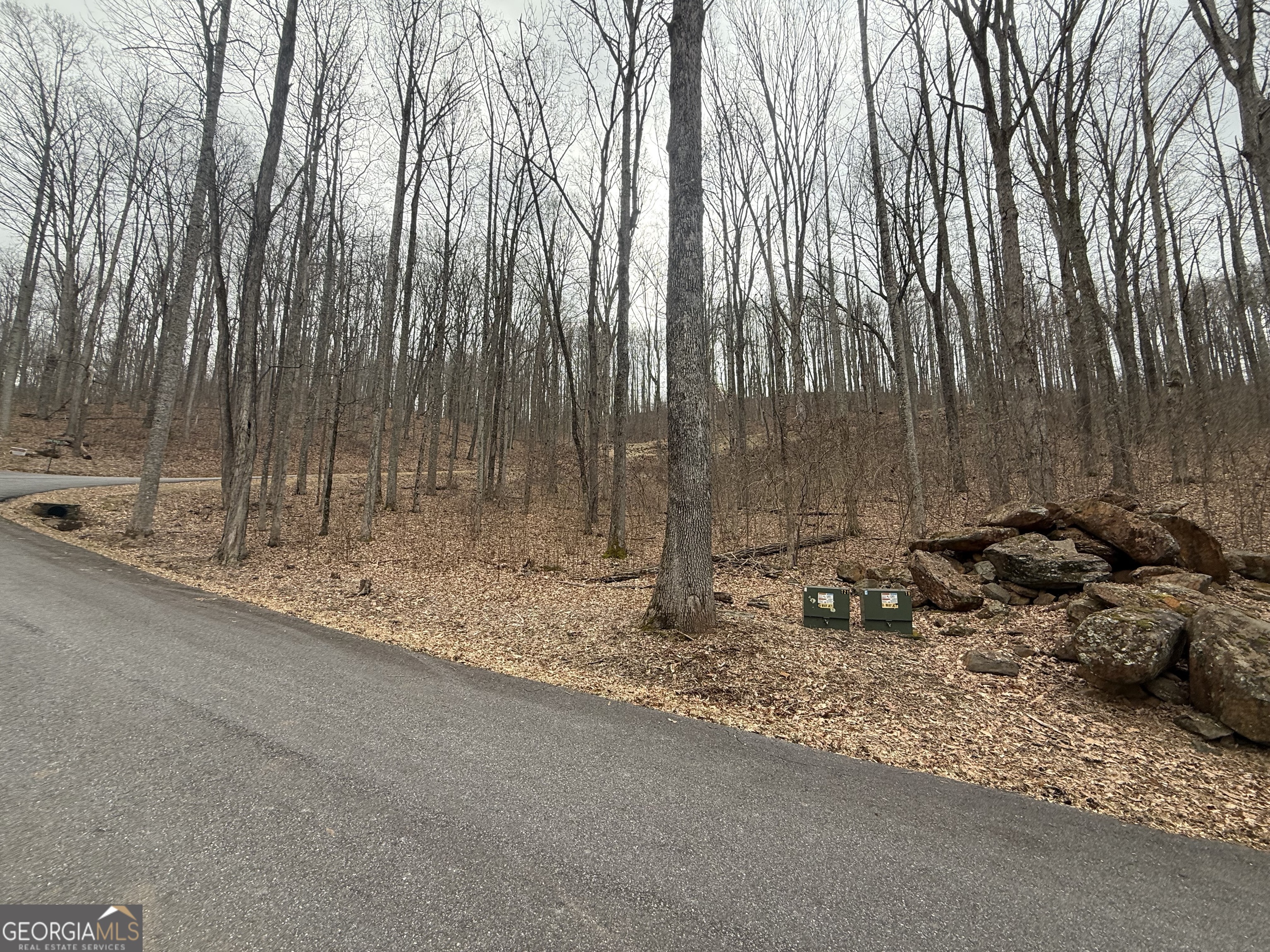 Lot 7 Rocky Knob Drive Young Harris GA 30582