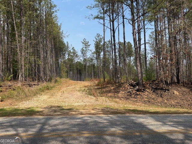 0 Drive Fisher Road Franklin GA 30217