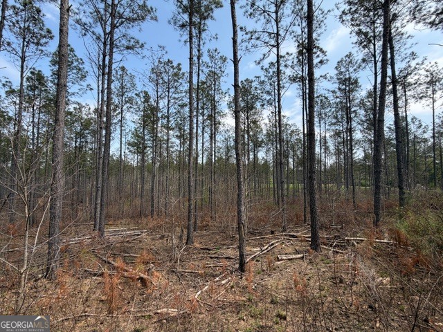 0 Drive Fisher Road Franklin GA 30217