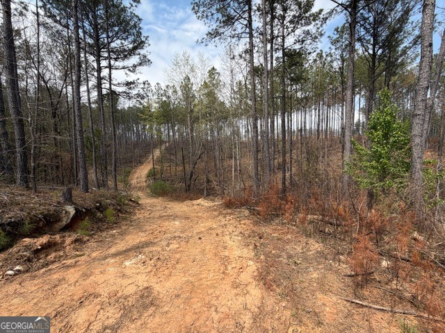 0 Drive Fisher Road Franklin GA 30217