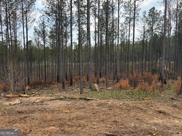 0 Drive Fisher Road Franklin GA 30217