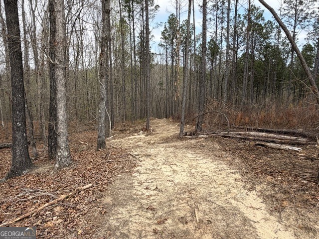 0 Drive Fisher Road Franklin GA 30217