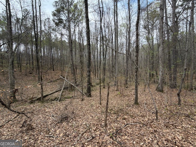 0 Drive Fisher Road Franklin GA 30217
