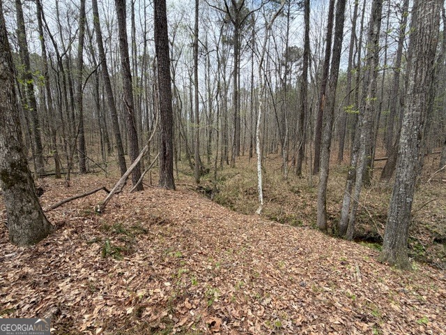 0 Drive Fisher Road Franklin GA 30217