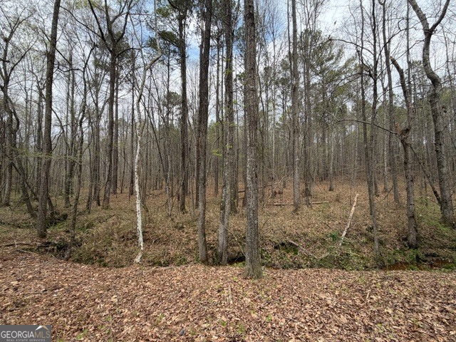 0 Drive Fisher Road Franklin GA 30217