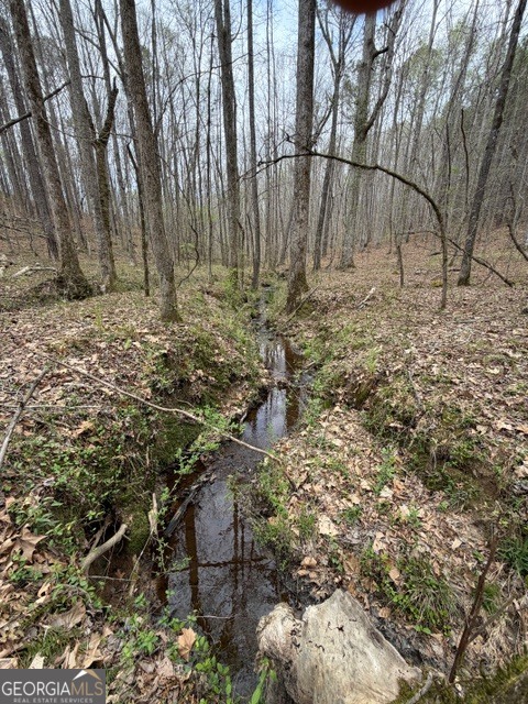 0 Drive Fisher Road Franklin GA 30217