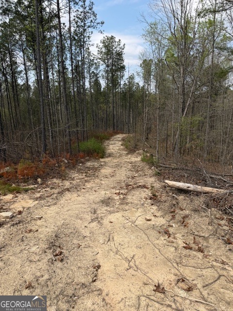 0 Drive Fisher Road Franklin GA 30217