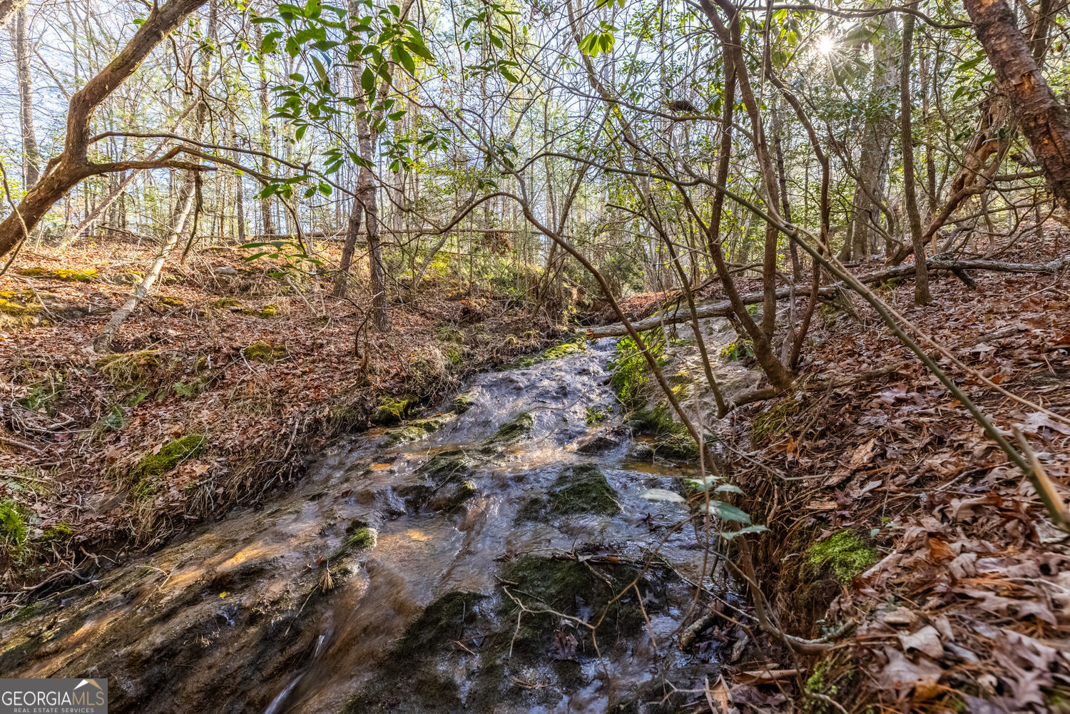 0 Adair Mill Road Cleveland GA 30528