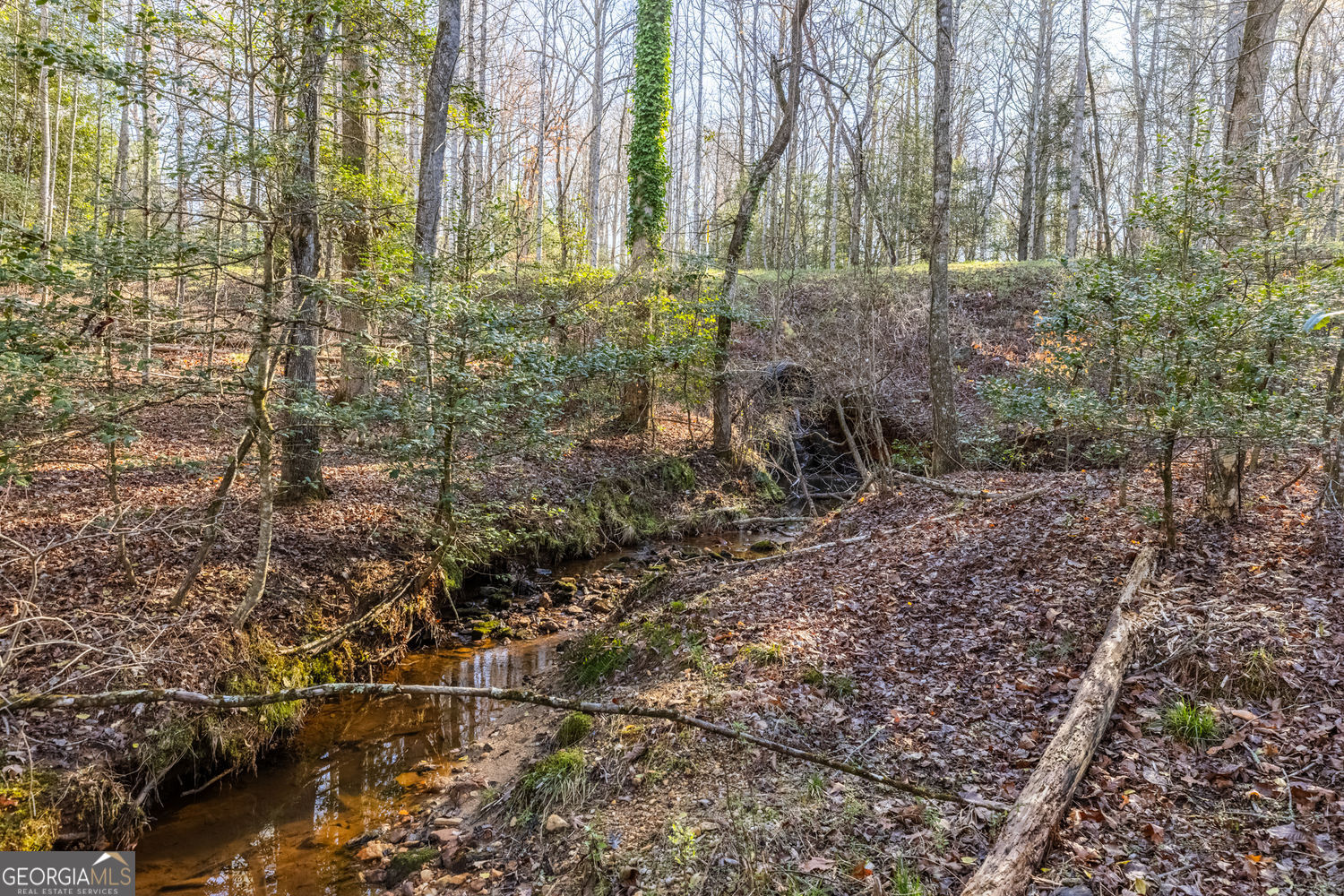 0 Adair Mill Road Cleveland GA 30528