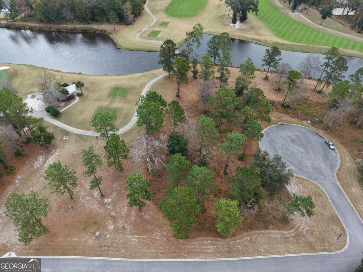 Lot 30 Blue Heron Trail Waverly GA 31565