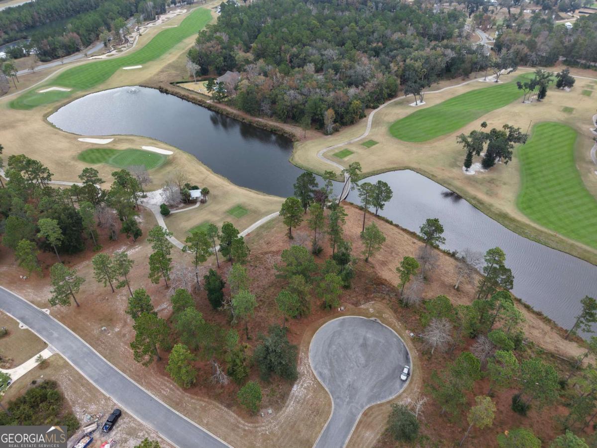 Lot 30 Blue Heron Trail Waverly GA 31565