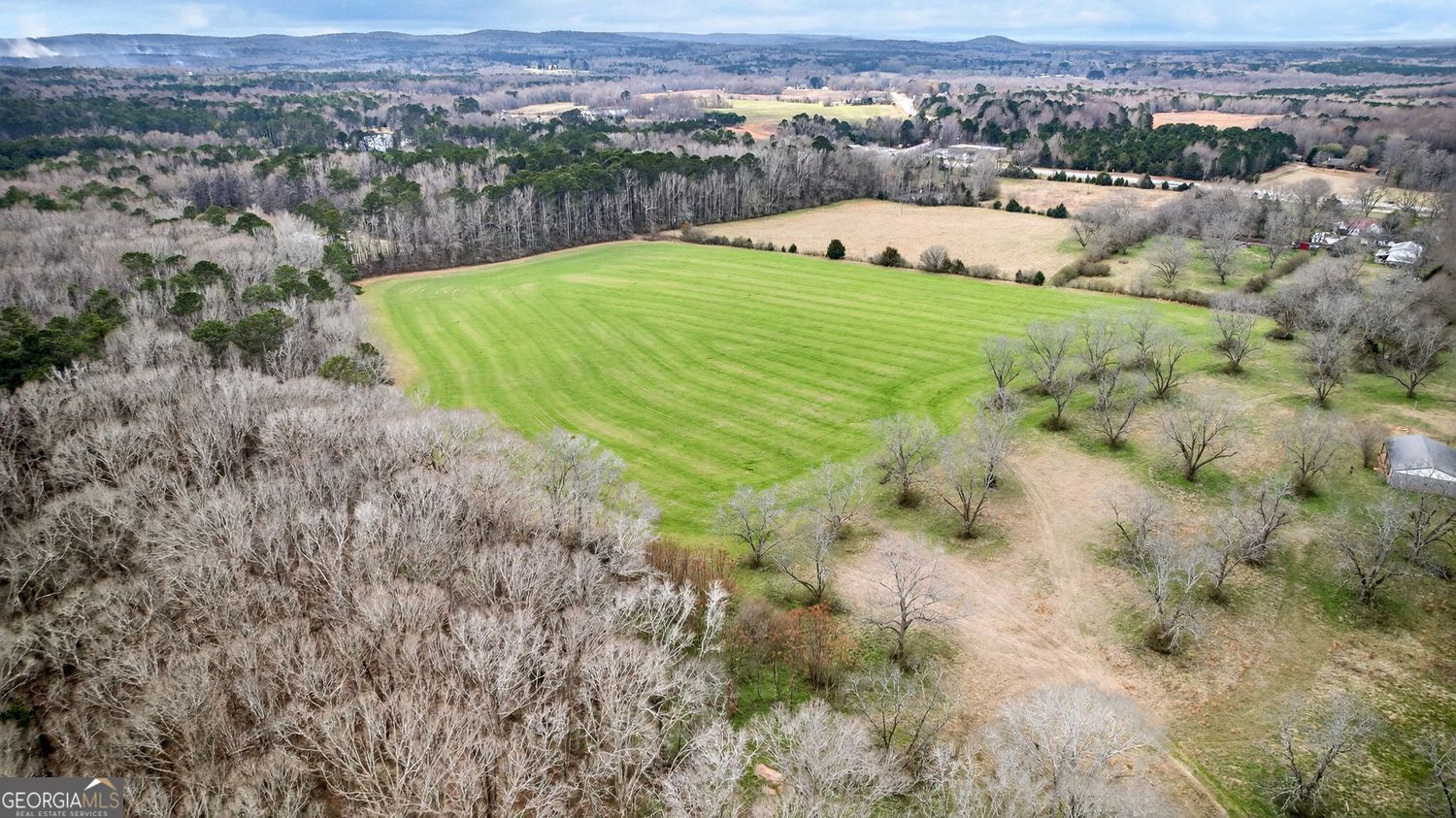 60.97+/- Acres Us Hwy 19 S Meansville GA 30256