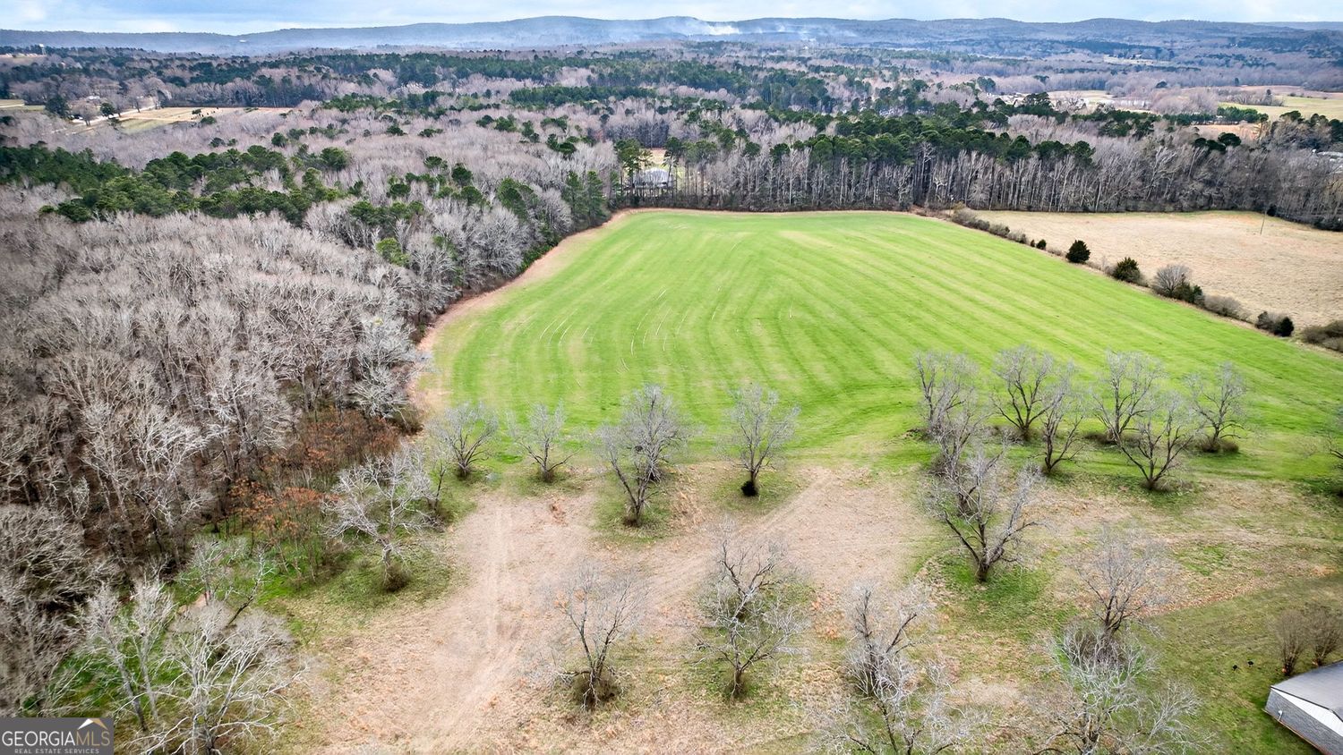 60.97+/- Acres Us Hwy 19 S Meansville GA 30256