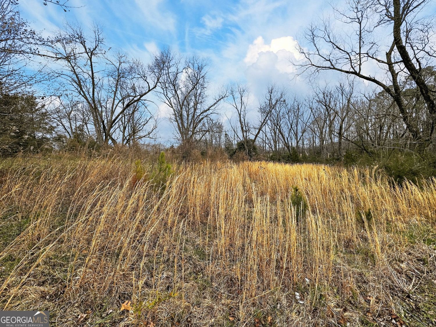 60.97+/- Acres Us Hwy 19 S Meansville GA 30256