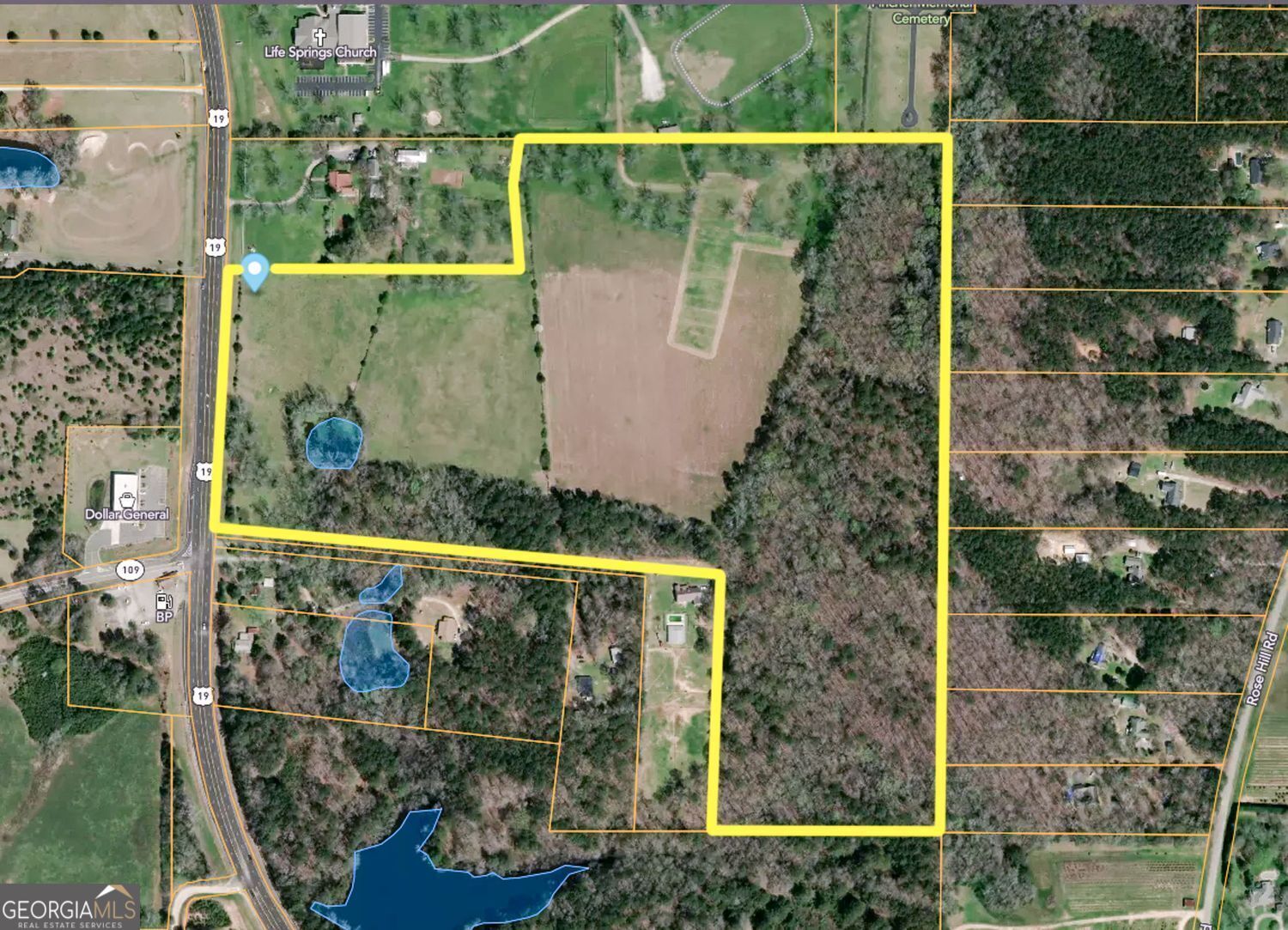 60.97+/- Acres Us Hwy 19 S Meansville GA 30256