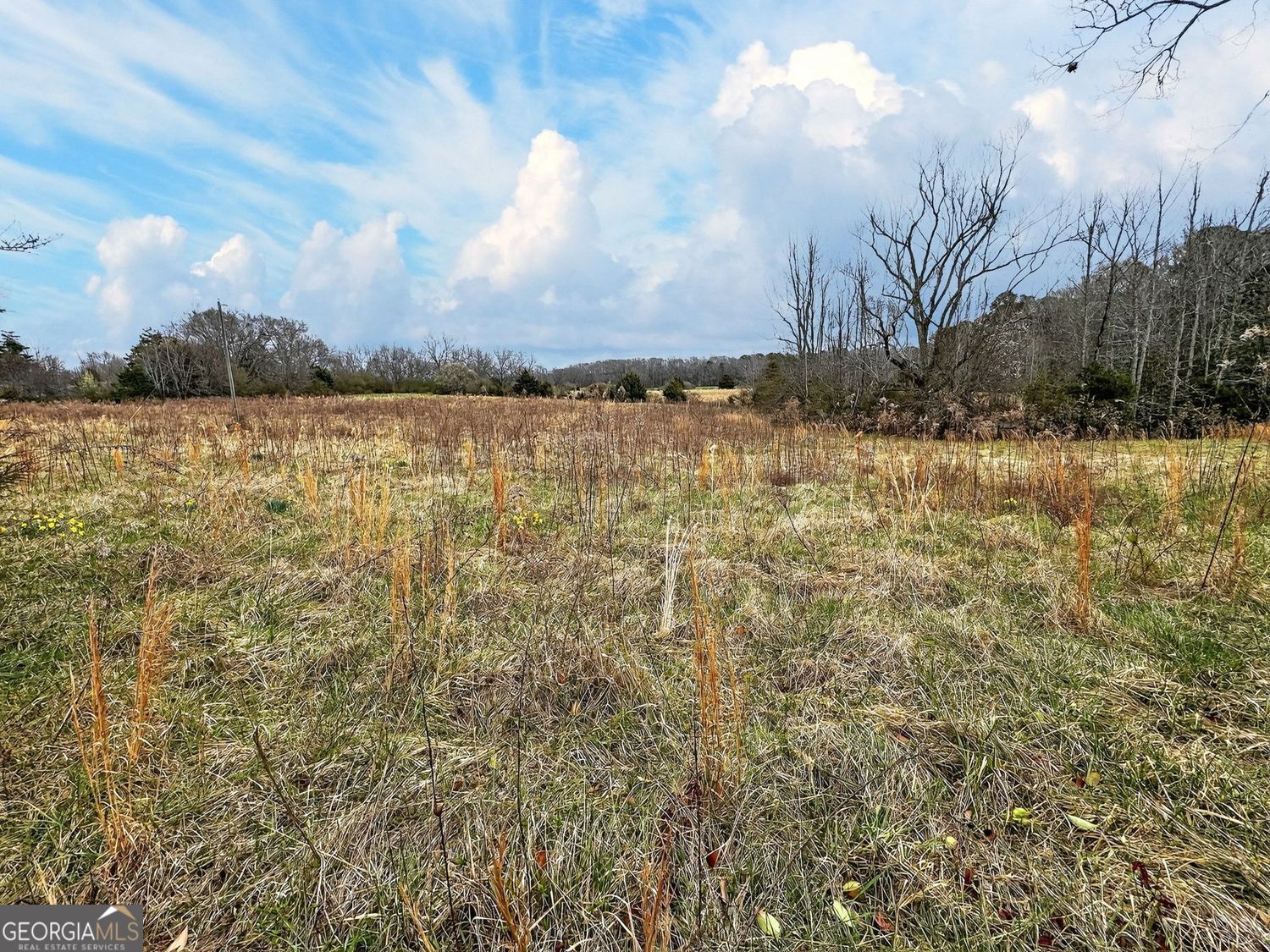60.97+/- Acres Us Hwy 19 S Meansville GA 30256