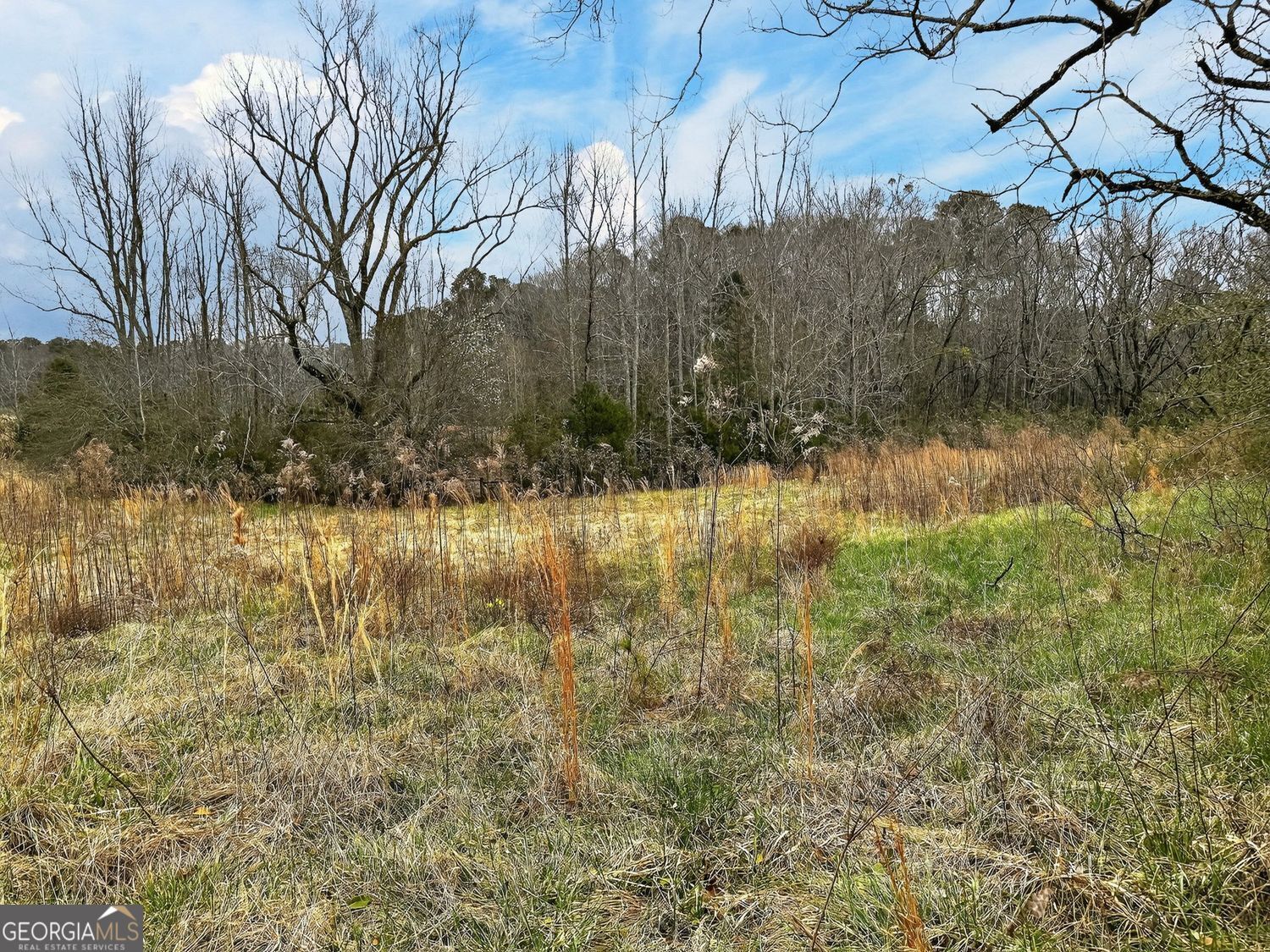 60.97+/- Acres Us Hwy 19 S Meansville GA 30256