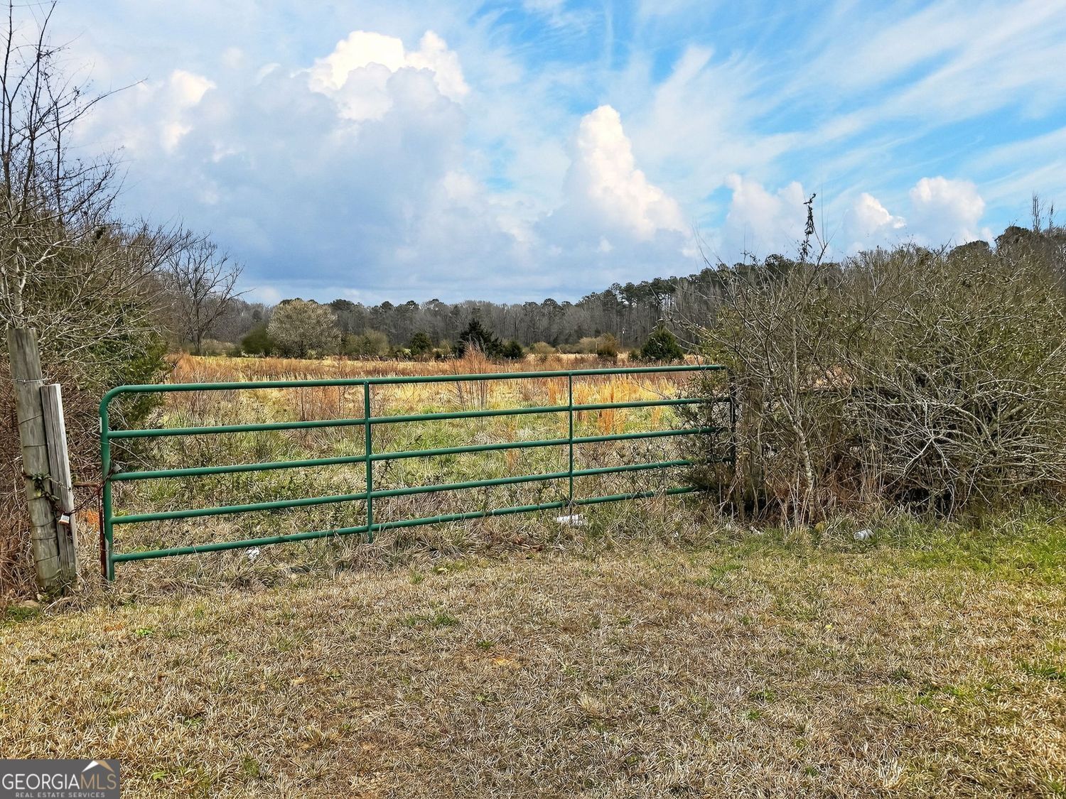 60.97+/- Acres Us Hwy 19 S Meansville GA 30256